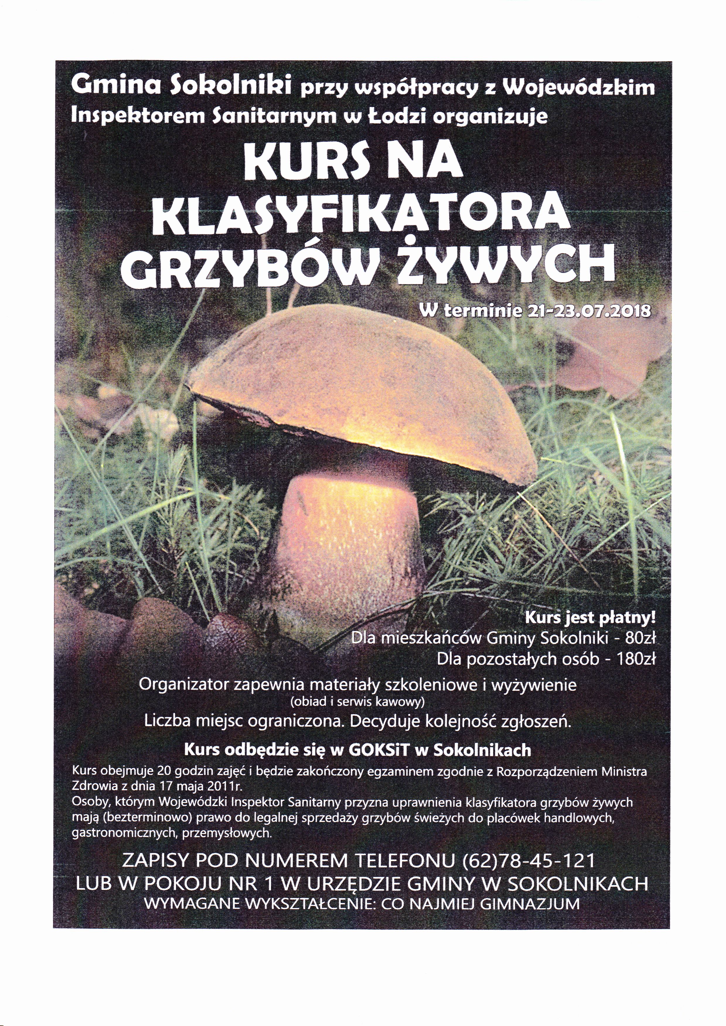 Zdjęcie plakat grzyby.jpg