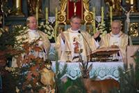 Alternatywny tekst z opisem obrazu.