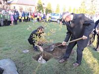 Alternatywny tekst z opisem obrazu.