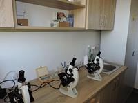 Alternatywny tekst z opisem obrazu.