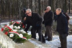 Alternatywny tekst z opisem obrazu.