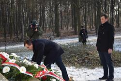 Alternatywny tekst z opisem obrazu.