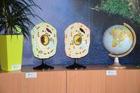 Alternatywny tekst z opisem obrazu.