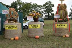 Alternatywny tekst z opisem obrazu.