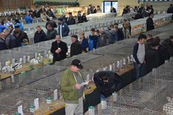 Alternatywny tekst z opisem obrazu.