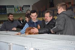 Alternatywny tekst z opisem obrazu.